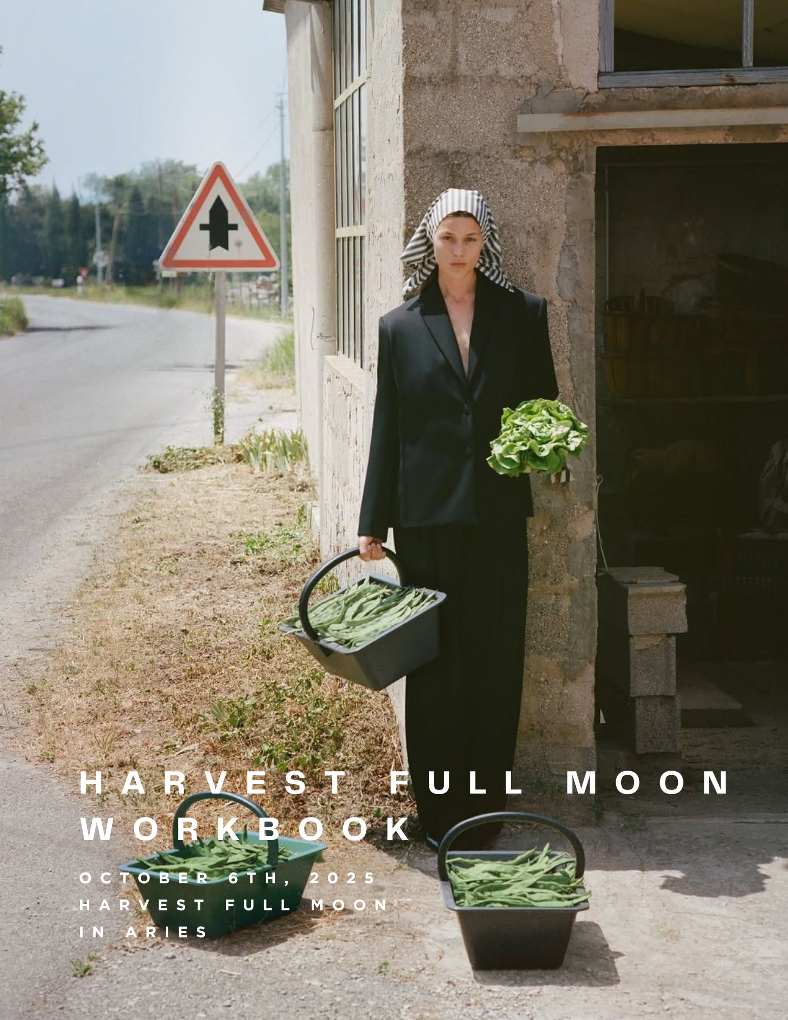 Harvest Full Moon in Aries Workbook