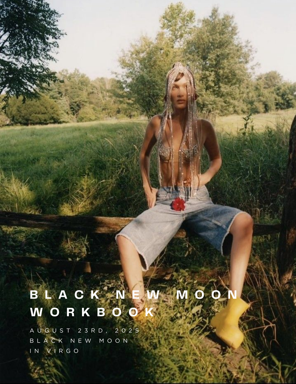 Black New Moon in Virgo Workbook