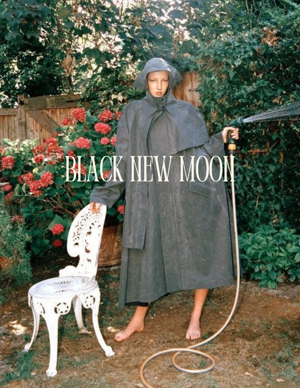 Black New Moon in Virgo Workbook