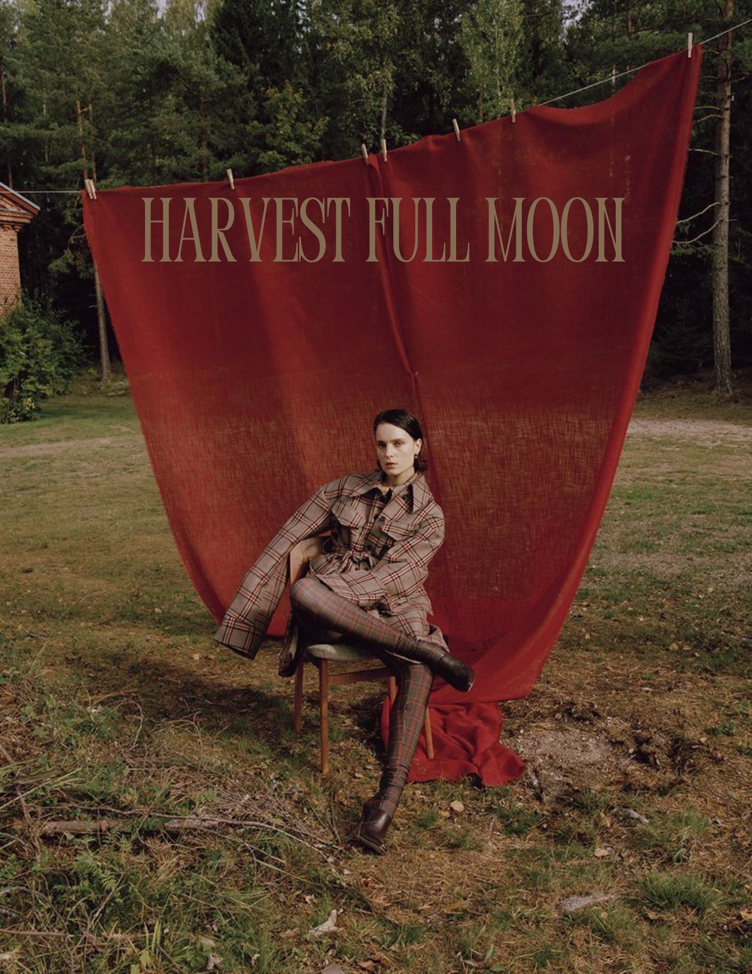 Harvest Full Moon in Aries Workbook